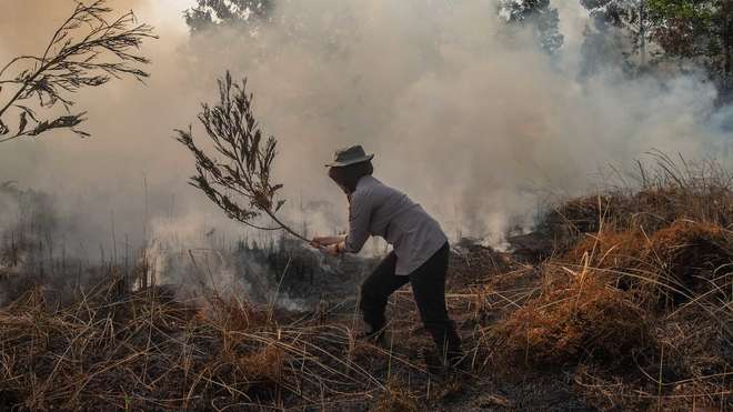 man with branch putting out grassland fire