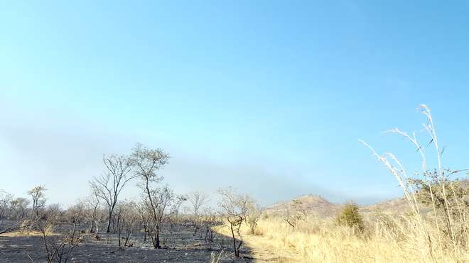 Burned area after a fire in Pendjari National Park_Benin_Henrike Schulte to Buhne.jpg