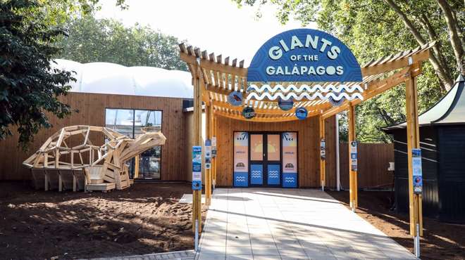 Our new exhibit at ZSL London Zoo, Giants of the Galapagos