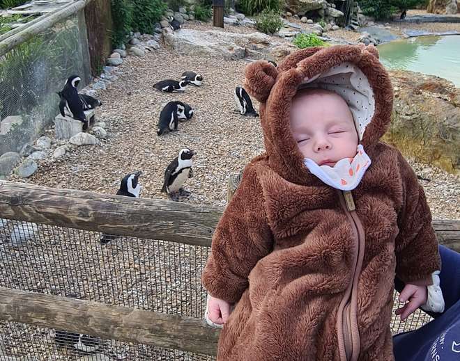 Stephanie Watkiss and son Owen at penguins, Whipsnade Zoo