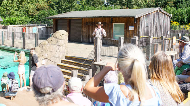 man giving sign language talk at London Zoo