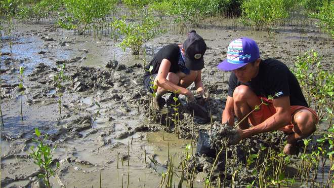 two people in muddy mangrove