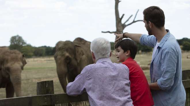 Three generations of a family visiting the elephants at ZSL Whipsnade Zoo