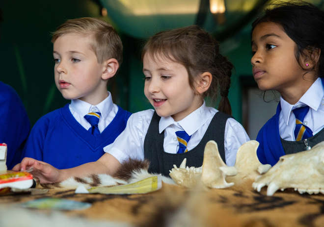 ZSL Key Stage One Learning Resources