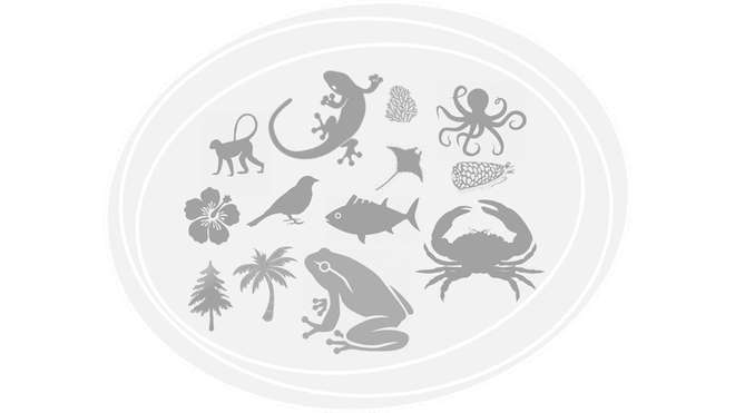grey diagram showing animals