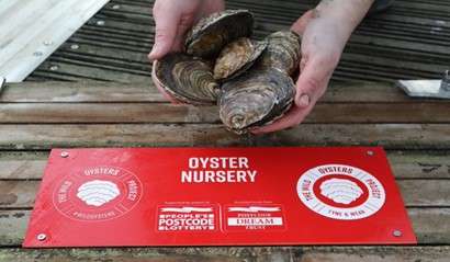 Native Oysters Nursery Signage