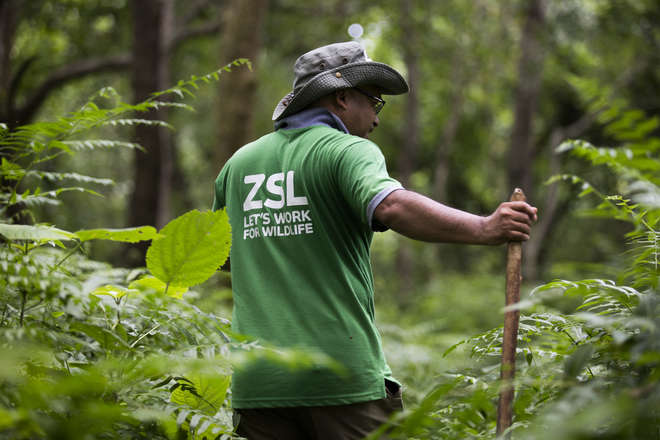 ZSL conservationist in Nepal