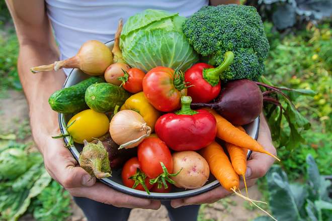Seasonal vegetables. Source: Shutterstock
