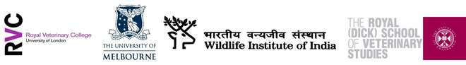 The Wildlife Health Bridge is a collaborative project between the Zoological Society of London, Royal Veterinary College, Wildlife Institute of India, University of Edinburgh and the University of Melbourne. 