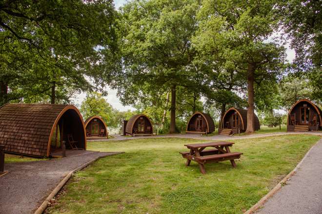 Wooden lodges in grassy area