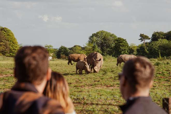 Lookout lodge guests viewing southern white rhinos 