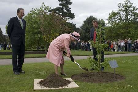 HRH Queen Elizabeth II visits Kew Gardens in 2009 for 250th anniversary and plants a ginkgo tree
