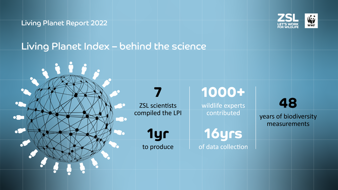 An infographic of the Living Planet Index - behind the science