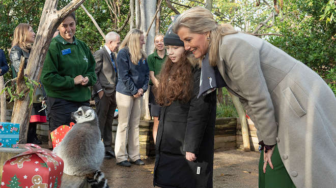 HRH The Countess of Wessex and Sienna Dell watch a lemur at London Zoo's In with the Lemurs 