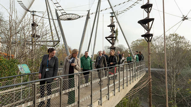 HRH The Countess of Wessex walks through Monkey Valley