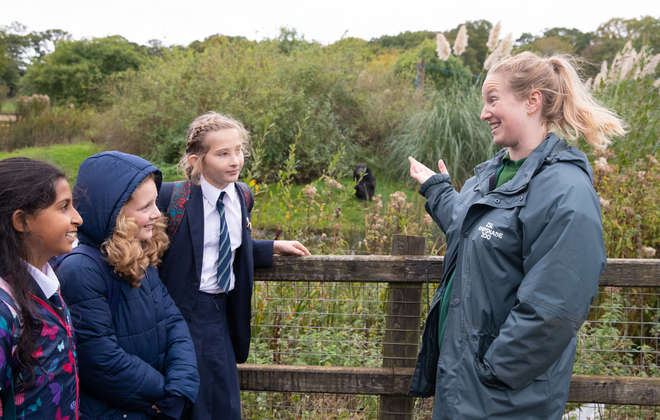 WZ School visit students at Whipsnade zoo