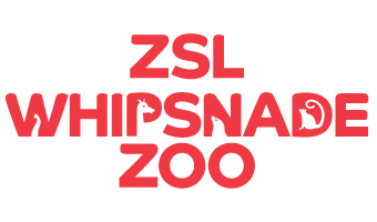 zsl whipsnade zoo